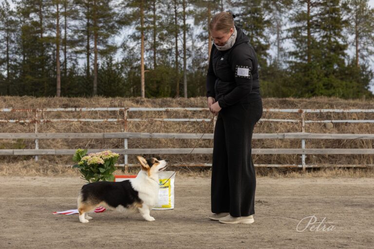 Risto BIS JUN-1